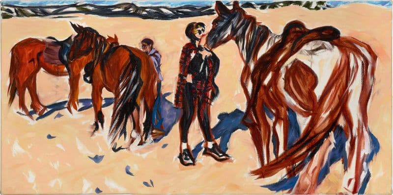 Zinzi with horses